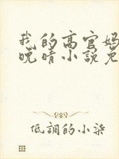 我的高官妈妈苏晚晴小说免费阅读