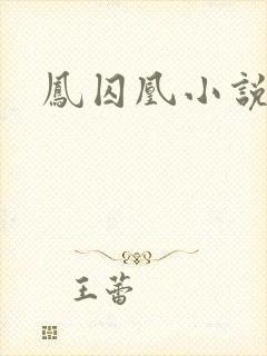 凤囚凰小说