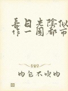 长日光阴似箭乱作一团都市言情封面