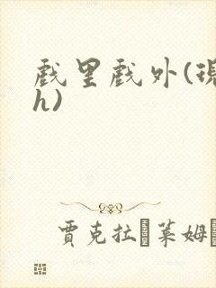 戏里戏外(现场h)