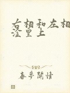 右相和左相一起淦皇上