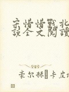 宋惜惜战北望小说全文阅读
