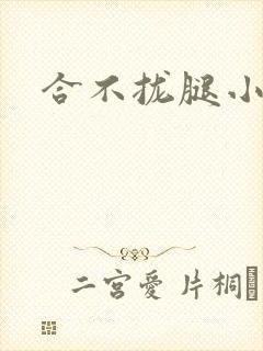 合不拢腿小说
