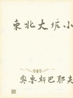 东北大坑小说