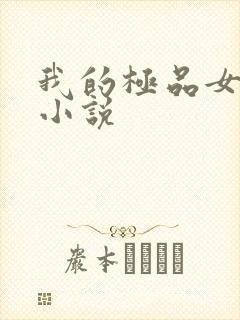 我的极品女老师小说
