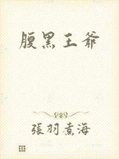 腹黑王爷封面