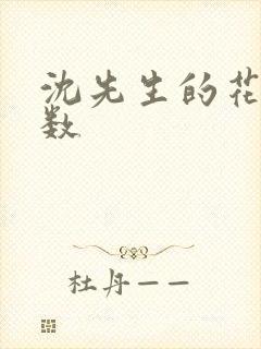 沈先生的花式调数封面