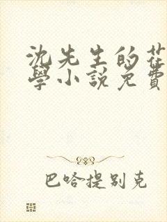 沈先生的花式教学小说免费