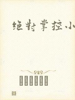 绝对掌控小说封面