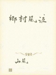 乡村风流封面
