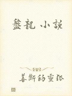 盘龙 小说