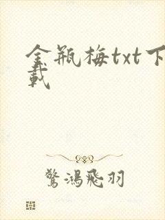 金瓶梅txt下载