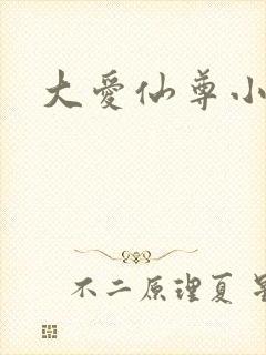 大爱仙尊小说