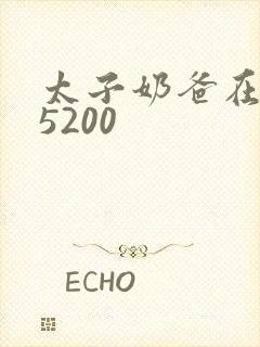 太子奶爸在花都5200