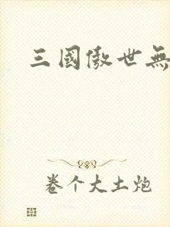 三国傲世无双封面