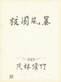 校园风暴封面