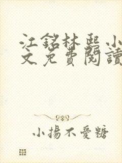 江铭林熙小说全文免费阅读