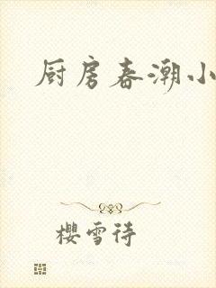 厨房春潮小说封面
