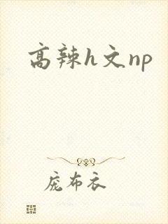 高辣h文np