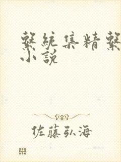 系统集精系统 小说