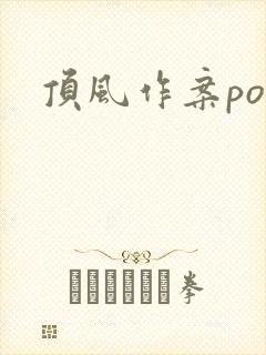 顶风作案po封面