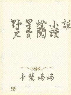 野星灯小说全文免费阅读