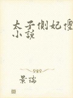 太子侧妃傻乎乎小说