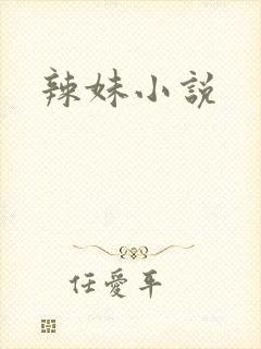 辣妹小说封面