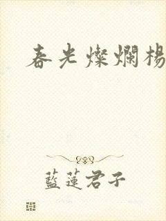 春光灿烂杨家将封面