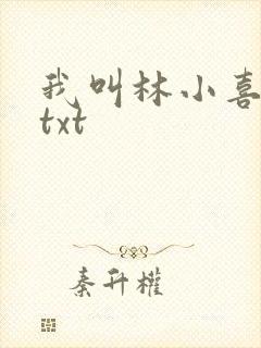 我叫林小喜小说txt封面