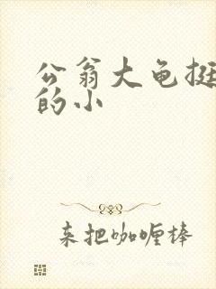 公翁大龟挺进我的小