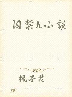 囚禁h小说封面