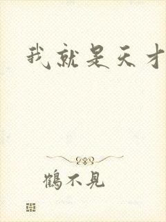 我就是天才