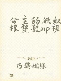 公主的欲奴h四根双龙np视频