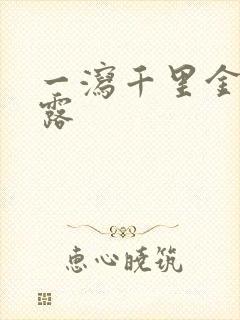 一泻千里金银花露封面