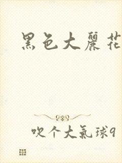 黑色大丽花图片