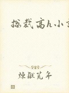 总裁高h小说