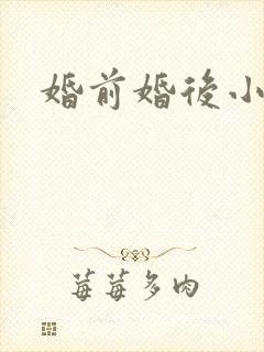 婚前婚后小说