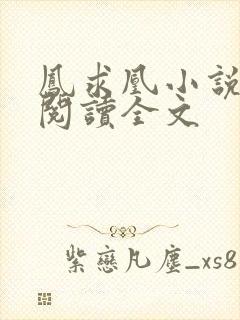 凤求凰小说免费阅读全文