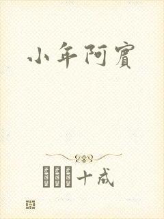 小年阿宾封面