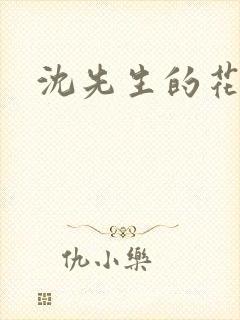 沈先生的花式