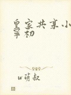 皇家共享小公主宁初