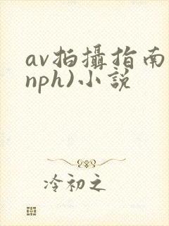 av拍摄指南(nph)小说封面