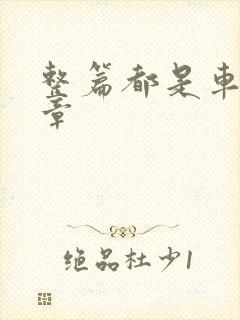 整篇都是车的文章