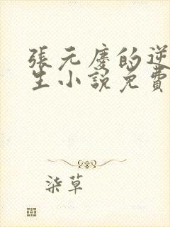 张元庆的逆袭人生小说免费阅读封面
