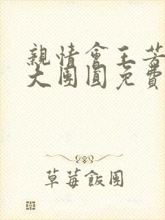 亲情会王芳高敏大团圆免费阅读