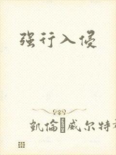 强行入侵封面