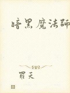 暗黑魔法师封面