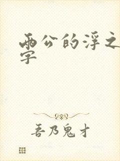 两公的浮之手中字封面