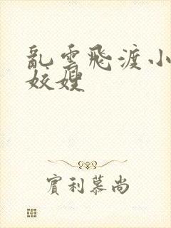 乱云飞渡小说之姣嫂封面